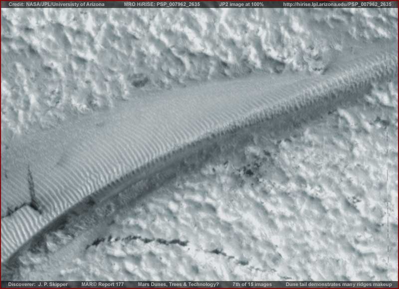 07-177-dune-tail.jpg